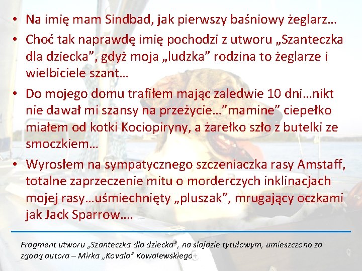  • Na imię mam Sindbad, jak pierwszy baśniowy żeglarz… • Choć tak naprawdę