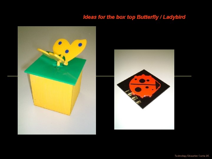 Ideas for the box top Butterfly / Ladybird Technology Education Centre 05. 