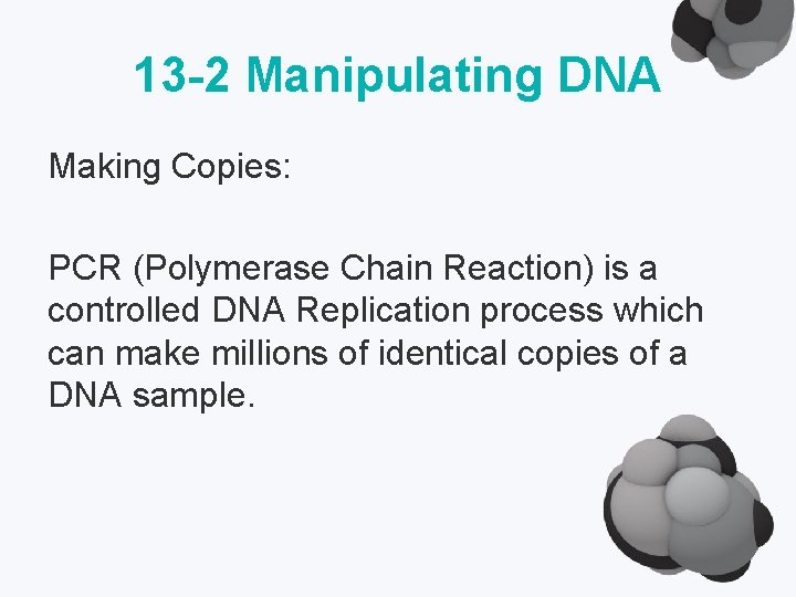 13 -2 Manipulating DNA Making Copies: PCR (Polymerase Chain Reaction) is a controlled DNA