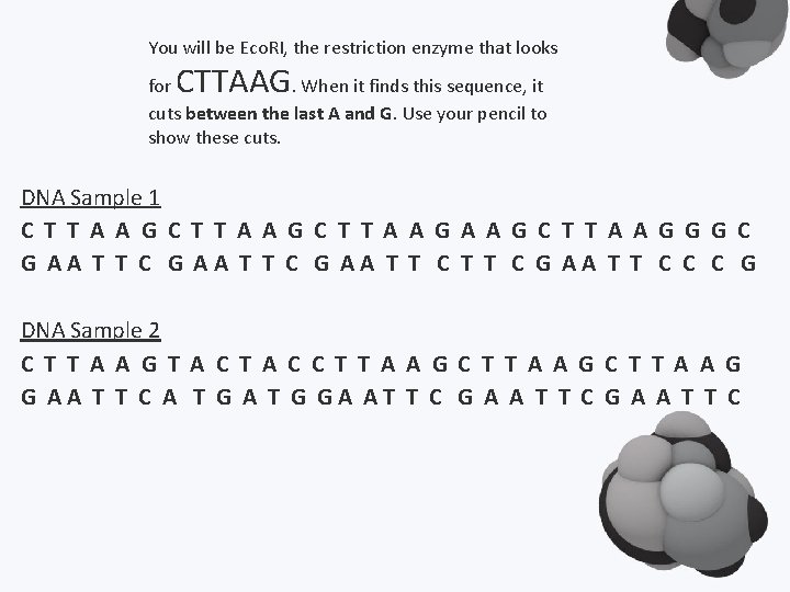 You will be Eco. RI, the restriction enzyme that looks CTTAAG for. When it