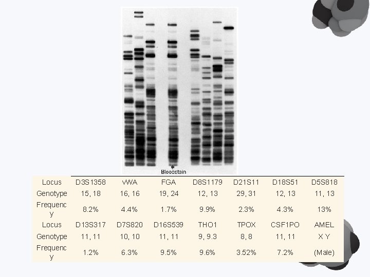 Locus D 3 S 1358 v. WA FGA D 8 S 1179 D 21