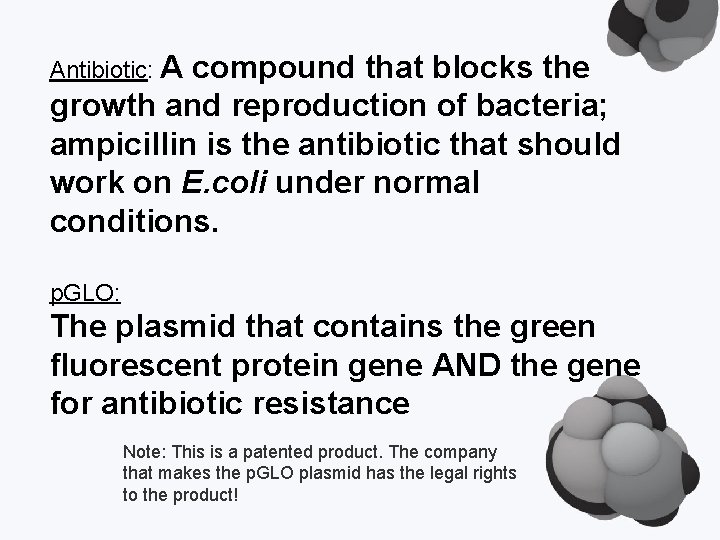 Antibiotic: A compound that blocks the growth and reproduction of bacteria; ampicillin is the