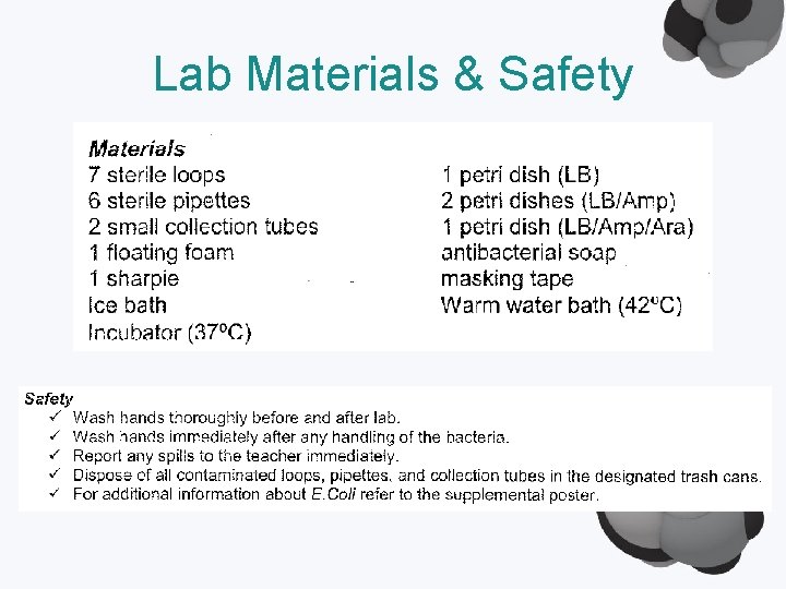 Lab Materials & Safety 