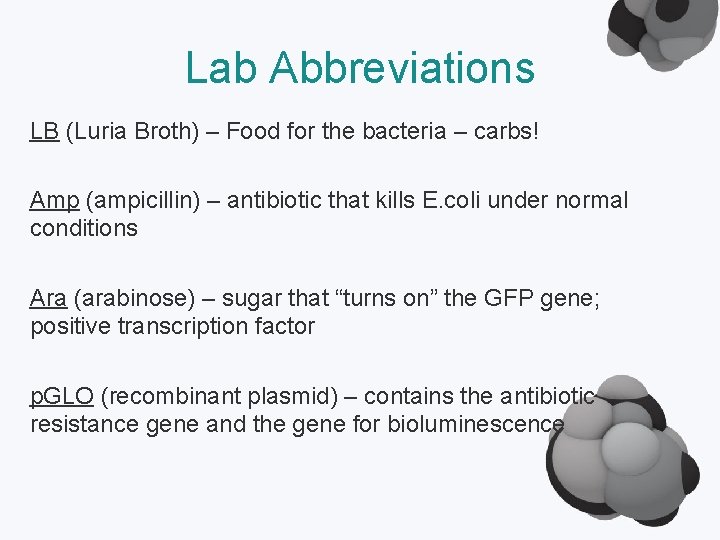 Lab Abbreviations LB (Luria Broth) – Food for the bacteria – carbs! Amp (ampicillin)