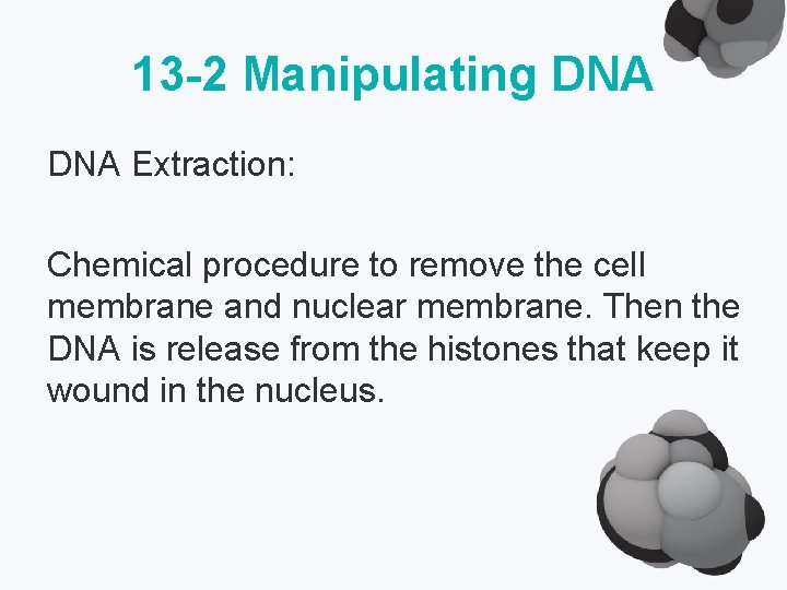 13 -2 Manipulating DNA Extraction: Chemical procedure to remove the cell membrane and nuclear
