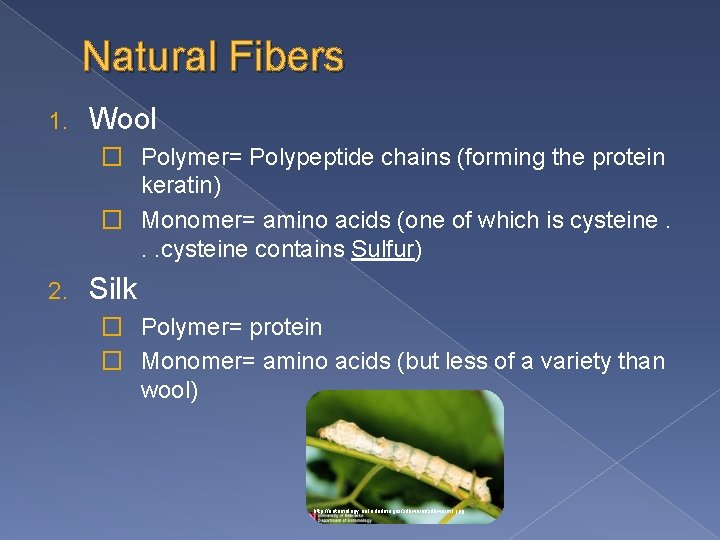 Natural Fibers 1. Wool � Polymer= Polypeptide chains (forming the protein keratin) � Monomer= Natural Fibers 1. Wool � Polymer= Polypeptide chains (forming the protein keratin) � Monomer=