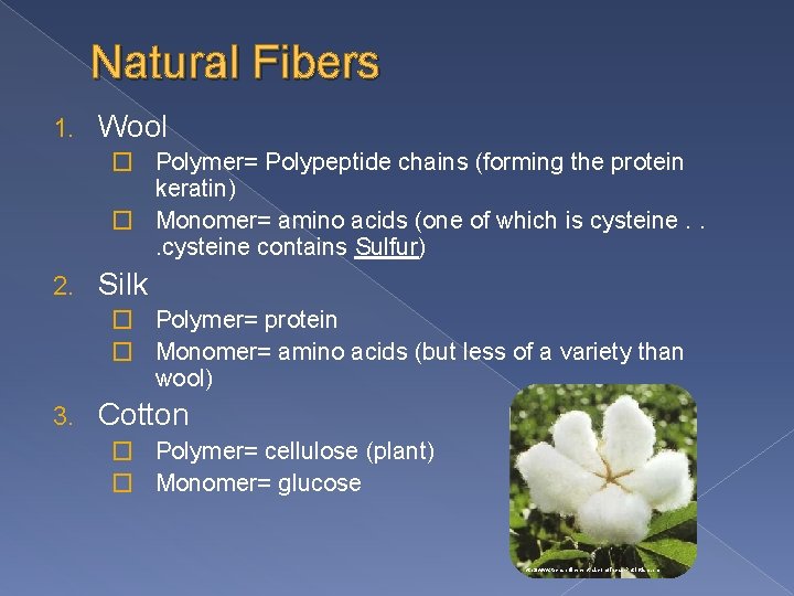 Natural Fibers 1. Wool � Polymer= Polypeptide chains (forming the protein keratin) � Monomer=