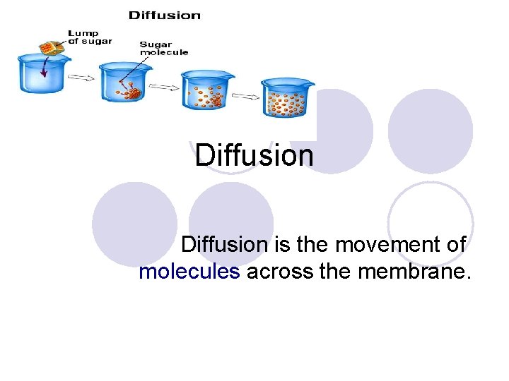 Movement Through a Membrane The Cell Part II