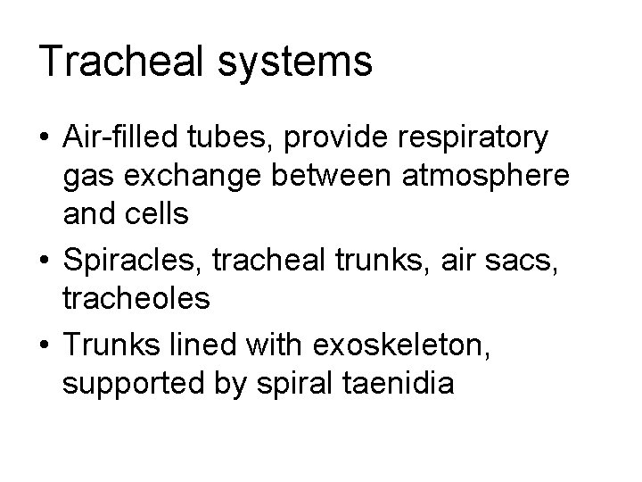 Tracheal systems • Air-filled tubes, provide respiratory gas exchange between atmosphere and cells •