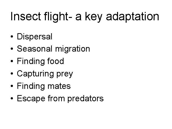 Insect flight- a key adaptation • • • Dispersal Seasonal migration Finding food Capturing