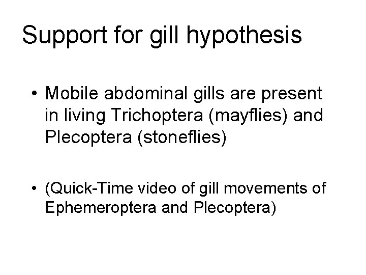 Support for gill hypothesis • Mobile abdominal gills are present in living Trichoptera (mayflies)