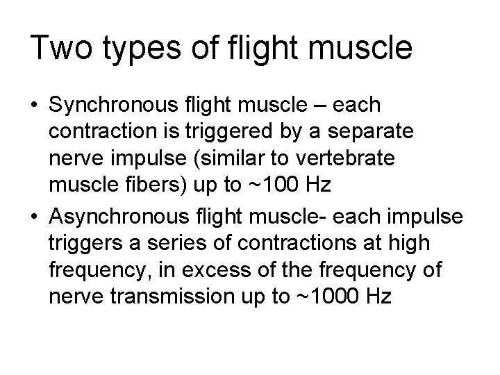 Two types of flight muscle • Synchronous flight muscle – each contraction is triggered