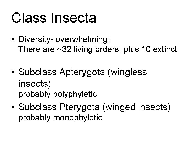 Class Insecta • Diversity- overwhelming! There are ~32 living orders, plus 10 extinct •