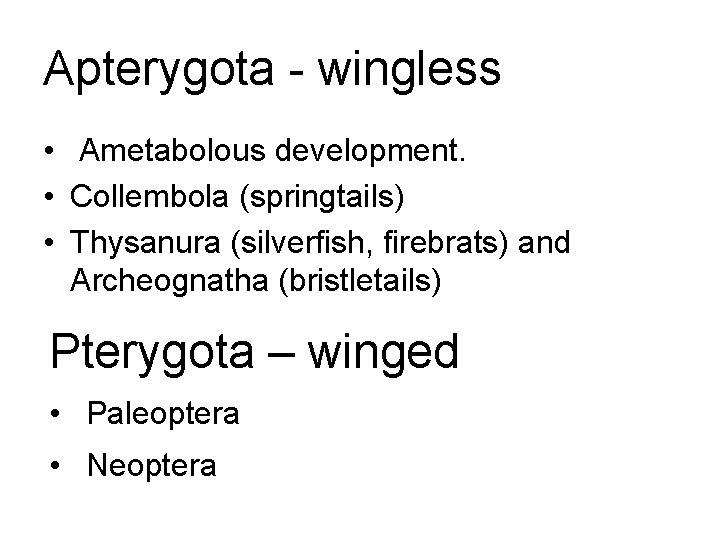 Apterygota - wingless • Ametabolous development. • Collembola (springtails) • Thysanura (silverfish, firebrats) and