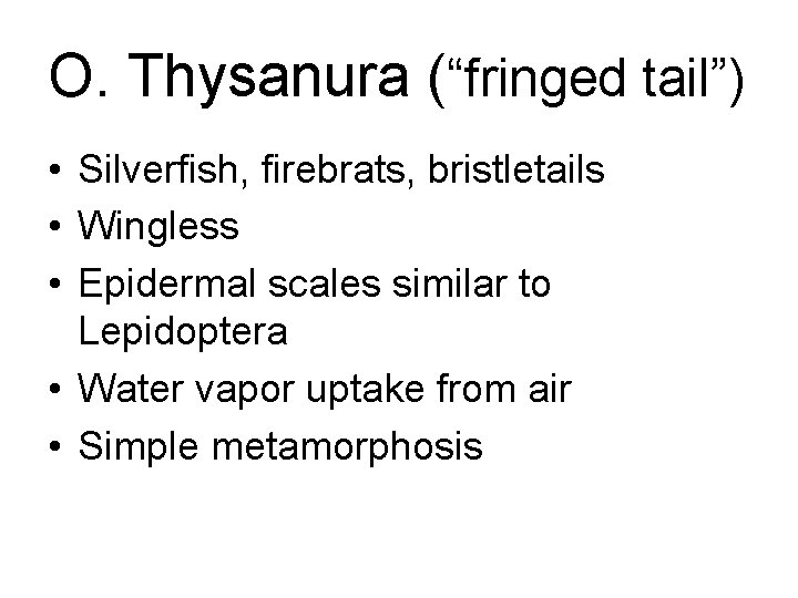 O. Thysanura (“fringed tail”) • Silverfish, firebrats, bristletails • Wingless • Epidermal scales similar