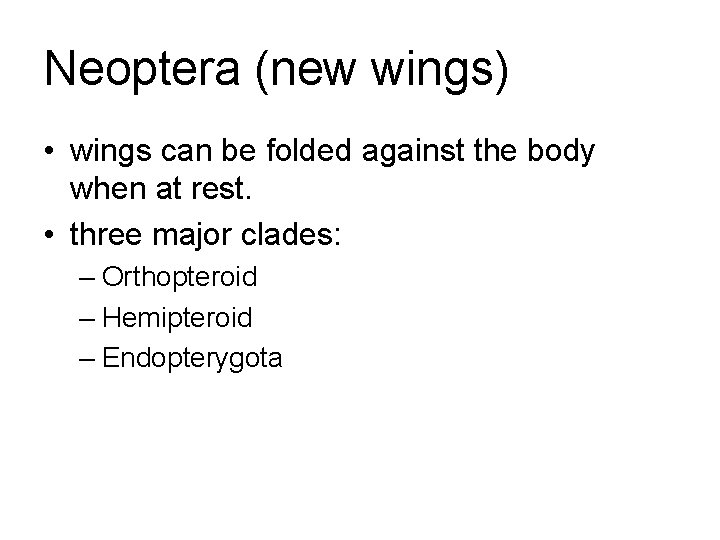 Neoptera (new wings) • wings can be folded against the body when at rest.