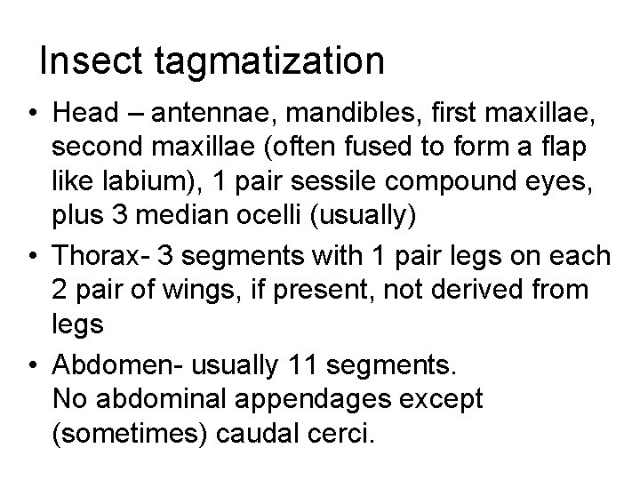 Insect tagmatization • Head – antennae, mandibles, first maxillae, second maxillae (often fused to