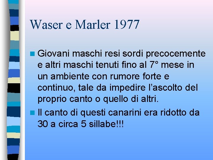 Waser e Marler 1977 n Giovani maschi resi sordi precocemente e altri maschi tenuti