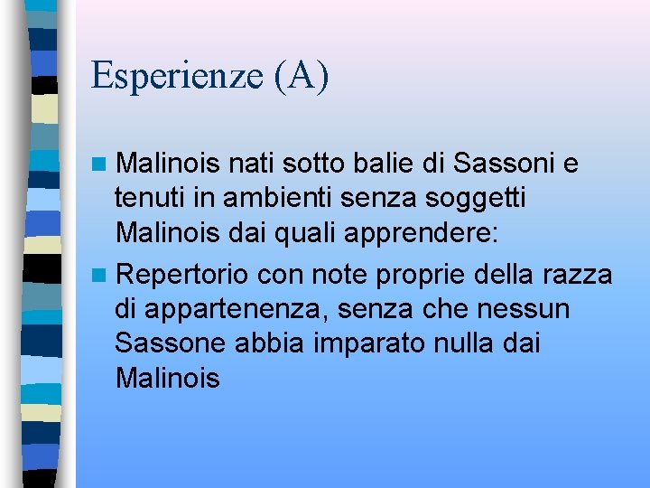 Esperienze (A) n Malinois nati sotto balie di Sassoni e tenuti in ambienti senza