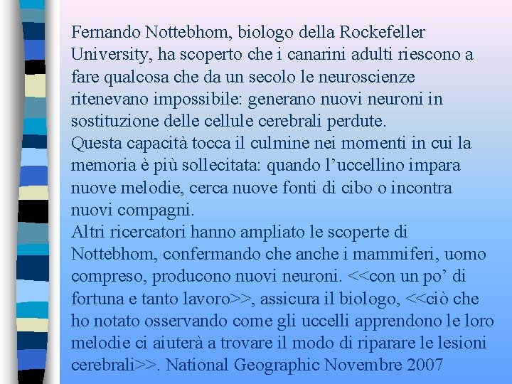 Fernando Nottebhom, biologo della Rockefeller University, ha scoperto che i canarini adulti riescono a