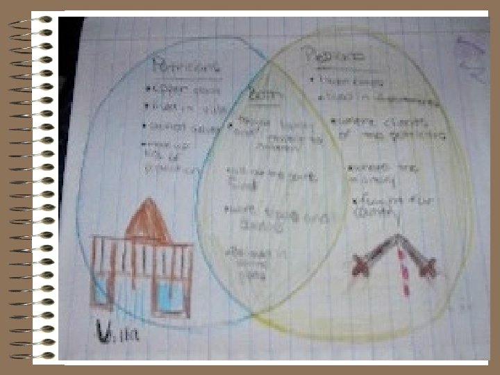 Venn Diagram 