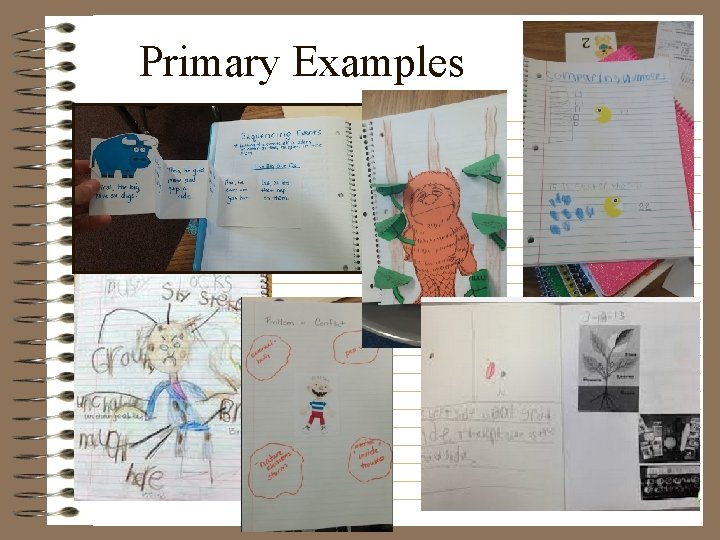 Primary Examples 