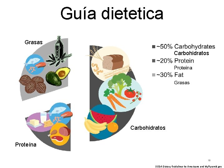 Guía dietetica Grasas Carbohidratos Proteína 18 USDA Dietary Guidelines for Americans and My. Pyramid.