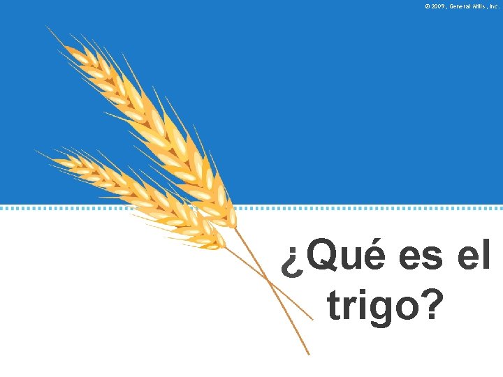 © 2009, General Mills, Inc. ¿Qué es el trigo? 