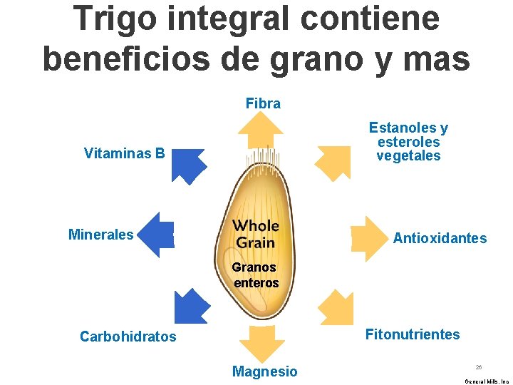 Trigo integral contiene beneficios de grano y mas Fibra Estanoles y esteroles vegetales Vitaminas