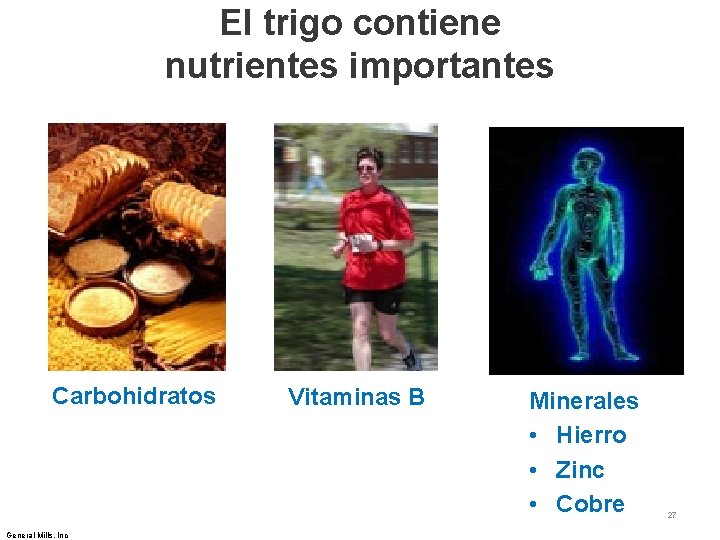 El trigo contiene nutrientes importantes Carbohidratos General Mills, Inc Vitaminas B Minerales • Hierro