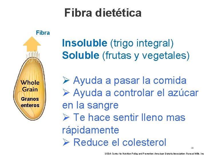 Fibra dietética Fibra Insoluble (trigo integral) Soluble (frutas y vegetales) Granos enteros Ø Ayuda