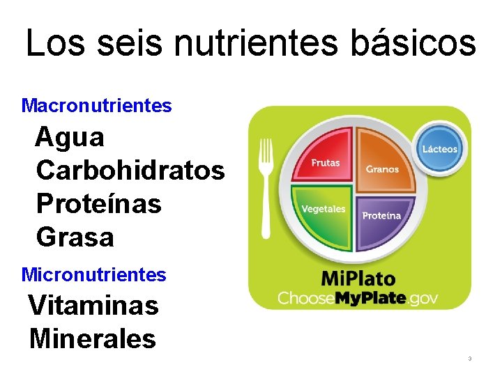 Los seis nutrientes básicos Macronutrientes Agua Carbohidratos Proteínas Grasa Micronutrientes Vitaminas Minerales 3 