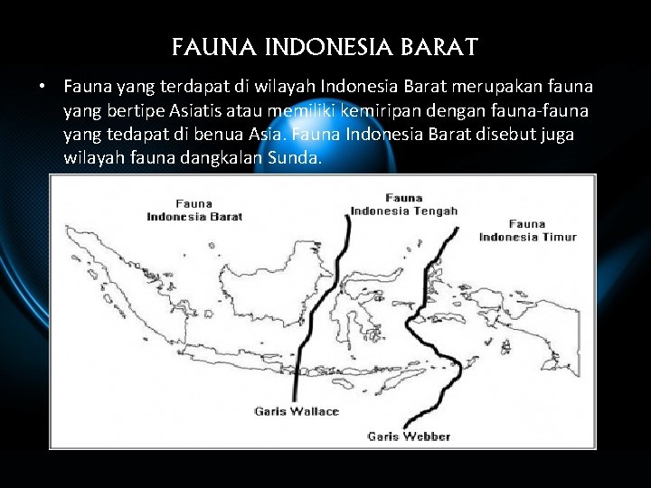 FAUNA INDONESIA BARAT • Fauna yang terdapat di wilayah Indonesia Barat merupakan fauna yang