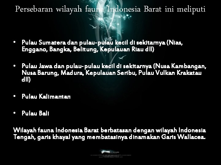 Persebaran wilayah fauna Indonesia Barat ini meliputi : • Pulau Sumatera dan pulau-pulau kecil