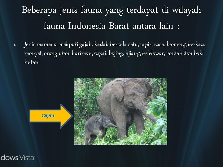 Beberapa jenis fauna yang terdapat di wilayah fauna Indonesia Barat antara lain : 1.