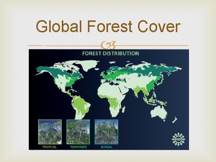 Global Forest Cover 