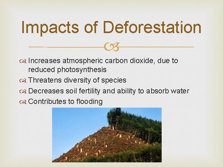 Impacts of Deforestation Increases atmospheric carbon dioxide, due to reduced photosynthesis Threatens diversity of