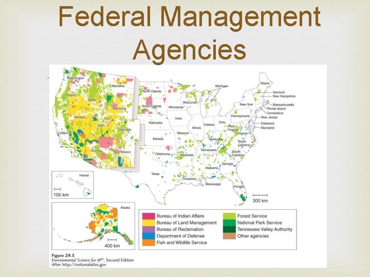 Federal Management Agencies 