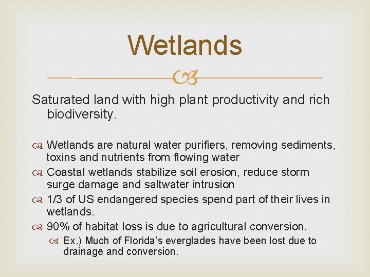 Wetlands Saturated land with high plant productivity and rich biodiversity. Wetlands are natural water
