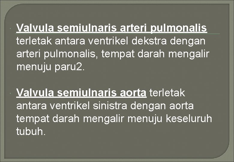  Valvula semiulnaris arteri pulmonalis terletak antara ventrikel dekstra dengan arteri pulmonalis, tempat darah