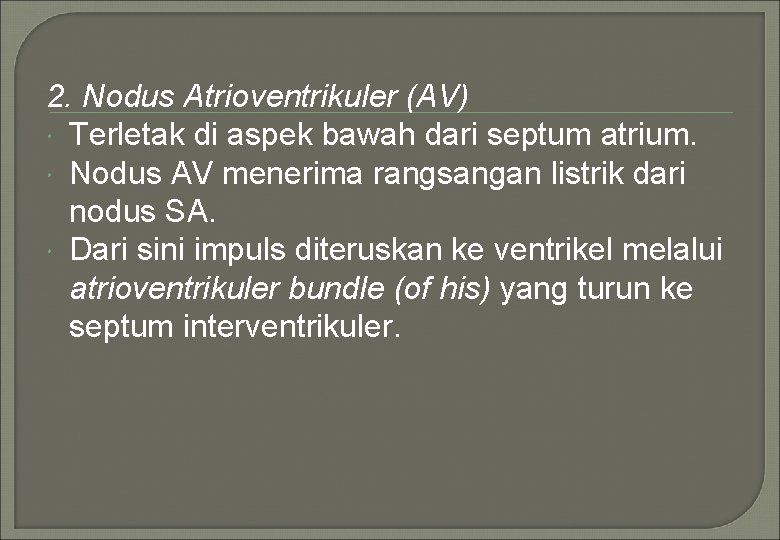 2. Nodus Atrioventrikuler (AV) Terletak di aspek bawah dari septum atrium. Nodus AV menerima