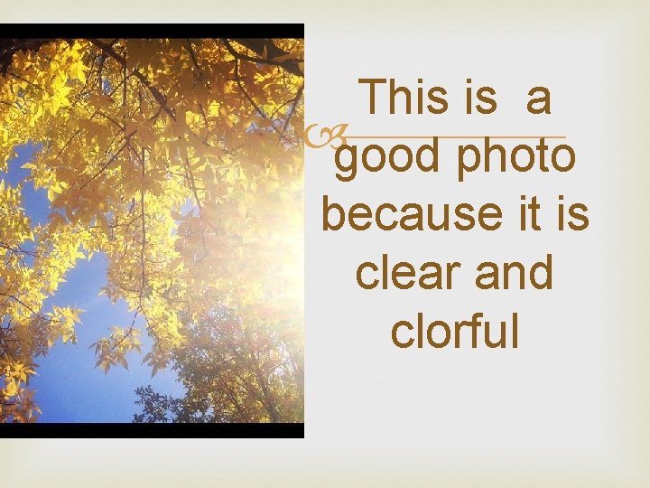 This is a good photo because it is clear and clorful 