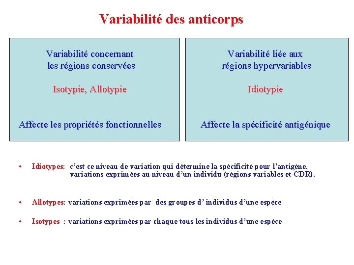 Variabilité des anticorps Variabilité concernant les régions conservées Variabilité liée aux régions hypervariables Isotypie,