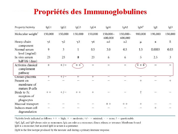 Propriétés des Immunoglobulines 