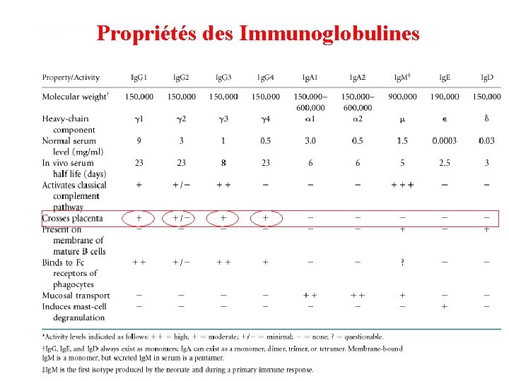 Propriétés des Immunoglobulines 