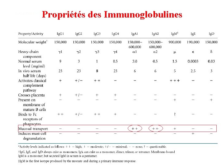 Propriétés des Immunoglobulines 