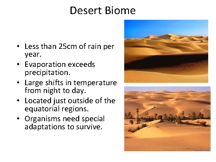Desert Biome • Less than 25 cm of rain per year. • Evaporation exceeds