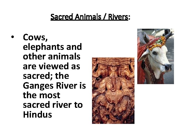 Sacred Animals / Rivers: • Cows, elephants and other animals are viewed as sacred;