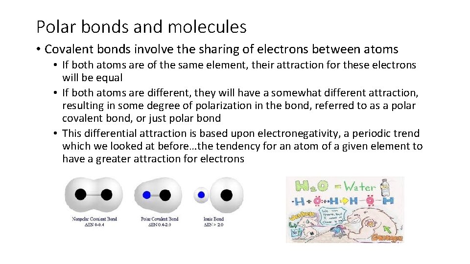 Polar bonds and molecules • Covalent bonds involve the sharing of electrons between atoms