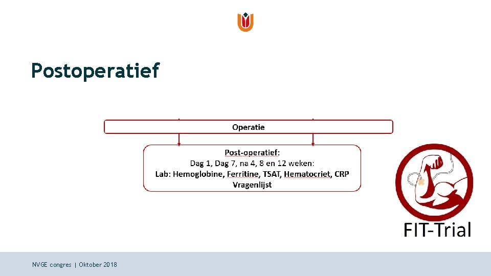 Postoperatief NVGE congres | Oktober 2018 